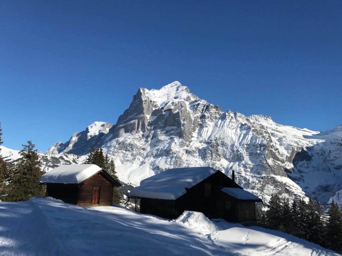 Chalet Sunneblick Гриндельвальд Экстерьер фото