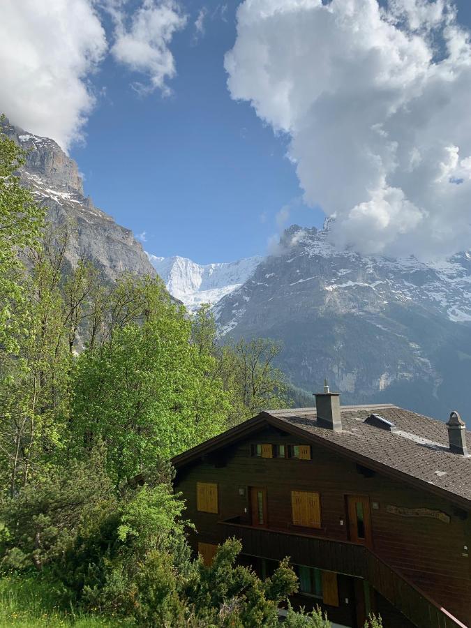 Chalet Sunneblick Гриндельвальд Экстерьер фото